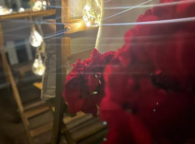 Zeus 아파트 자다르